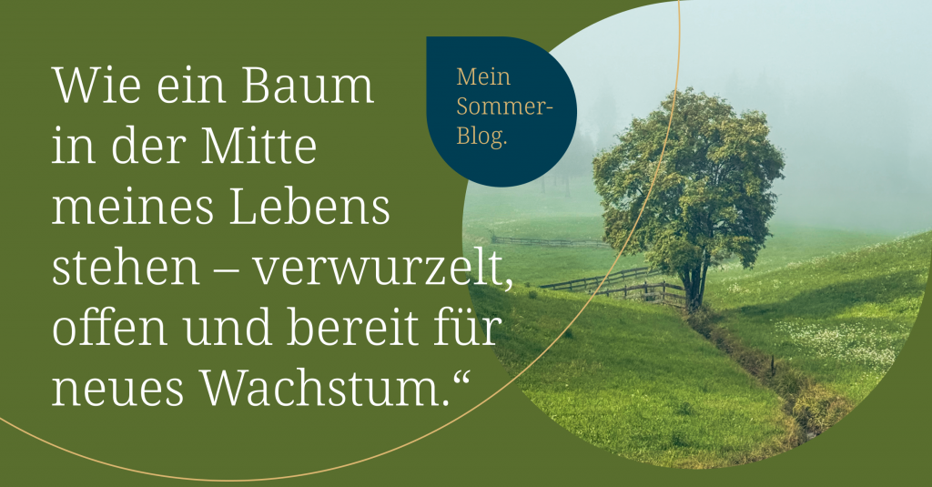 Claudia Grill Sommer Newsletter