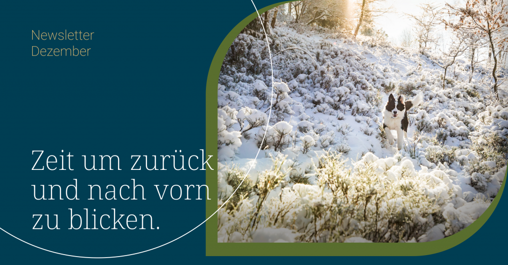 Dezember Blogbeitrag