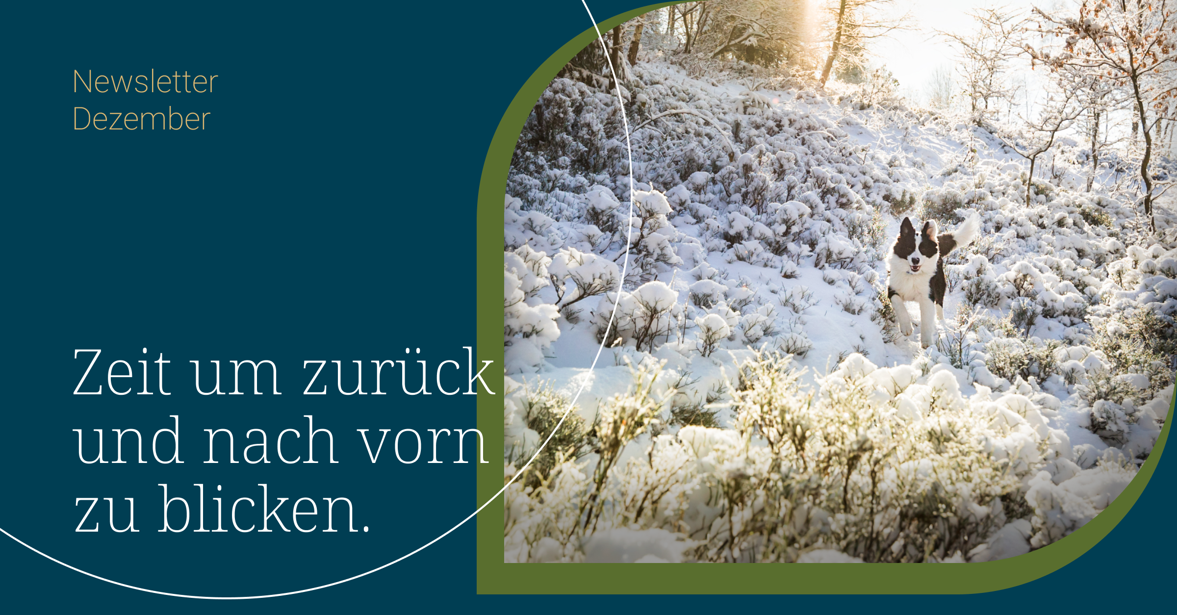 Dezember Blogbeitrag